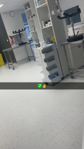 Photo de galerie - Je travaille dans une clinique vétérinaire dans le ménage 