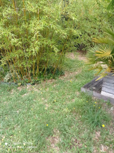 Photo de galerie - ?désherbage ?