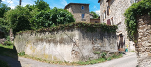 Photo de galerie - Rabattage haie vigne + lierre 