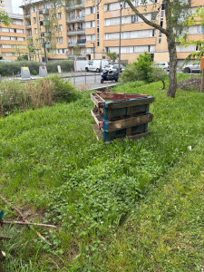 Photo de galerie - Tonte de pelouse - Débroussaillage