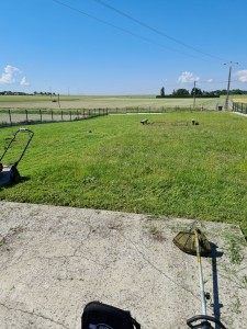 Photo de galerie - Réalisation d'une tonte 