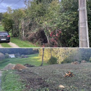 Photo de galerie - Elagage et coupe d'arbres
