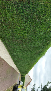 Photo de galerie - Après 
