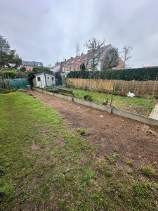 Photo de galerie - Elagage et coupe d'arbres