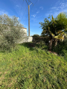 Photo de galerie - Débroussaillage (avant)