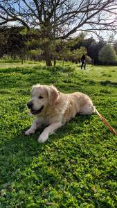 Photo de galerie - Promenade au parc bordelais