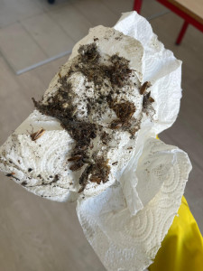 Photo de galerie - Nettoyage contre les nuisibles