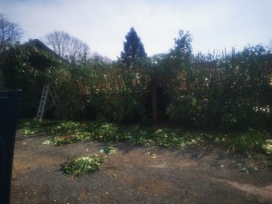 Photo de galerie - Taille-haies sur perche