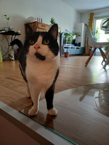 Photo de galerie - ???