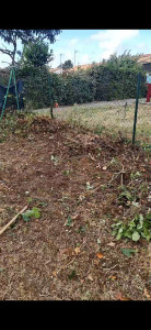 Photo de galerie - Paysagiste - Aménagement du jardin