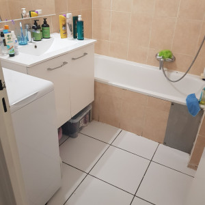 Photo de galerie - Salle de bain désinfectée 