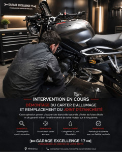 Photo de galerie - Démontage du carter d’allumage 