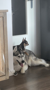 Photo de galerie - Mokka & nala en séjour 5 jours 