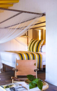 Photo de galerie - Home sitting - Accueil - Gardiennage