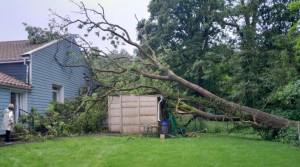 Photo de galerie - .