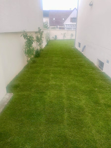 Photo de galerie - Paysagiste - Aménagement du jardin