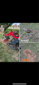 Photo de galerie - Elagage et coupe d'arbres