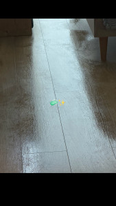 Photo de galerie - Lavage sol 