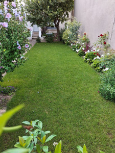 Photo de galerie - Paysagiste - Aménagement du jardin