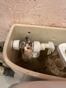 Photo de galerie - Remplacement chasse d’eau