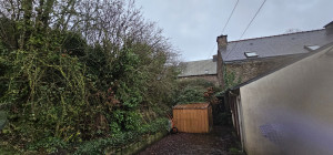 Photo de galerie - Elagage et coupe d'arbres