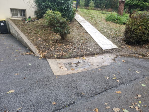 Photo de galerie - Tonte de pelouse - Débroussaillage