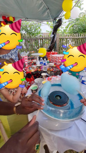 Photo de galerie - Wedding planner - Organisation de fêtes