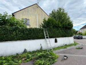 Photo de galerie - Redescendre haie 