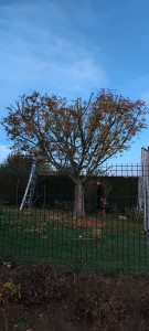 Photo de galerie - Jardinier