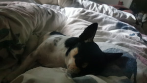 Photo de galerie - S'adapter aux besoins de chacun : le réconfort, la proximité. 