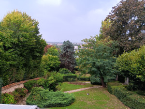 Photo de galerie - Entretien paysager 