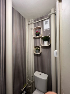 Photo de galerie - « La pose de papier peint dans les sanitaires, ainsi que la décoration