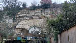 Photo de galerie - Jardinage vertical 