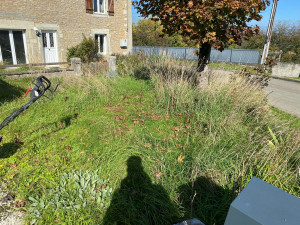 Photo de galerie - Tonte de pelouse - Débroussaillage