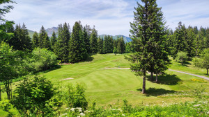 Photo de galerie - .