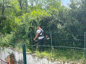 Photo de galerie - Tonte de pelouse - Débroussaillage