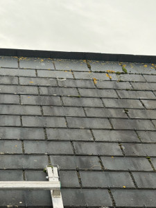 Photo de galerie - Demoussage 