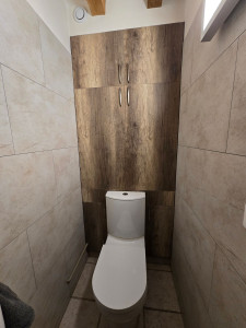 Photo de galerie - Remplacement de toilettes, pose d'un revêtement mural, réalisation d'un meuble 