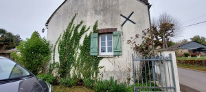 Photo de galerie - Tonte de pelouse - Débroussaillage