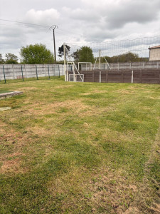 Photo de galerie - Tonte 