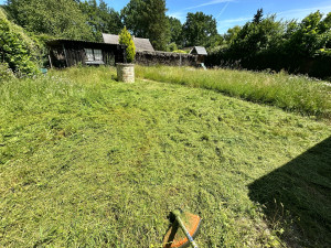 Photo de galerie - Tonte de pelouse - Débroussaillage