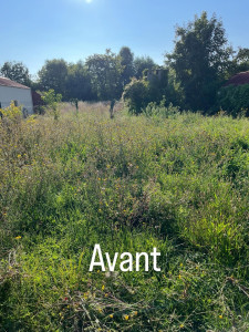 Photo de galerie - Tonte de pelouse - Débroussaillage
