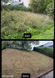Photo de galerie - Tonte de pelouse - Débroussaillage