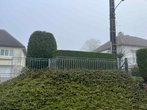 Photo de galerie - Taille de haie