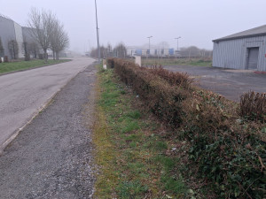 Photo de galerie - Debroussaillage 