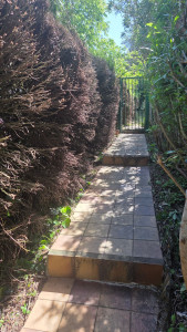 Photo de galerie - Paysagiste - Aménagement du jardin