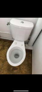 Photo de galerie - Nettoyage toilettes 