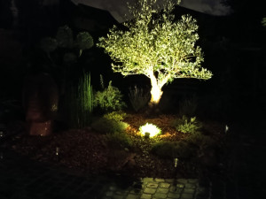 Photo de galerie - Création paysagère 
avec un olivier de 200ans
a quarouble 