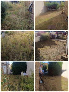 Photo de galerie - Remise en état d'un jardin a l'abandon depuis 1 ans.
tonte, taille des haies et désherbage 