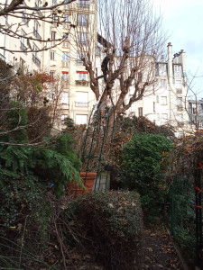 Photo de galerie - Aménagement d'un jardin.